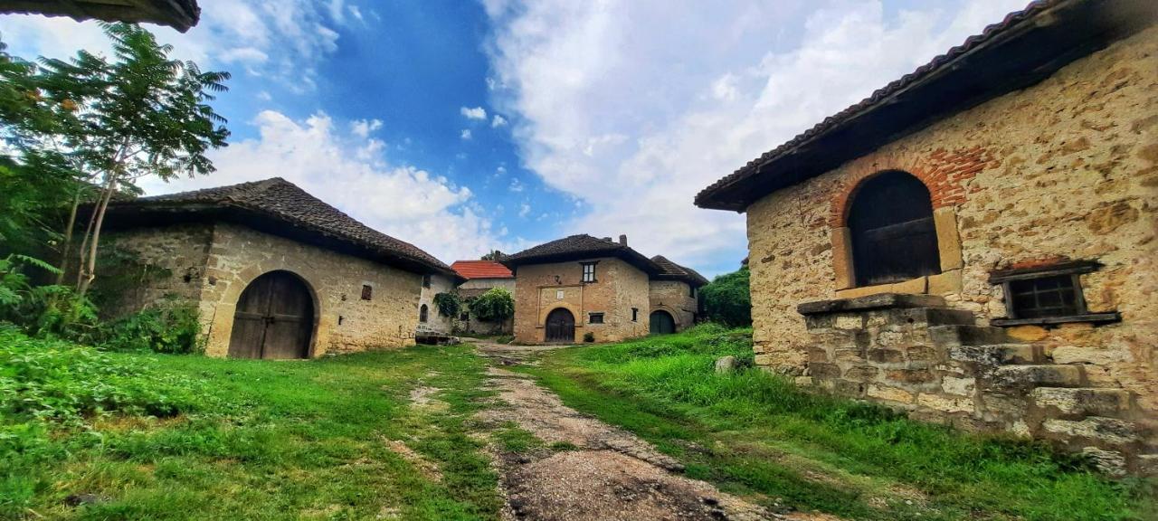 Vila Milenovic Rajacke Pivnice Kültér fotó