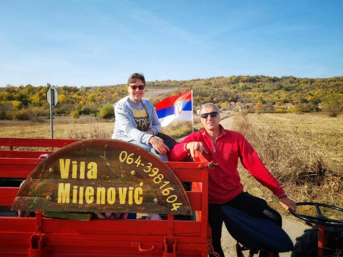 Vila Milenovic Rajacke Pivnice Kültér fotó